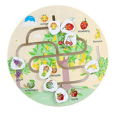 Wooden Fruit Maze puzzle